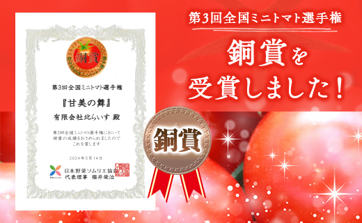 【先行予約】【2025年12月以降配送】【数量限定】高糖度＆高機能性 フルーツトマト 約3kg - 甘美の舞 期間限定 季節限定 野菜 生 フルティカ 完熟 糖度8以上 ミニ プチ お弁当 おやつ サ