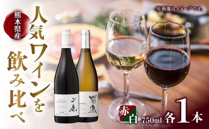 
                  ワイン 菊鹿シャルドネ&山鹿マスカットベーリーA2024 ワイン2本セット 化粧箱付 わいん【菊鹿ワイナリー】 [ZFB006]
                