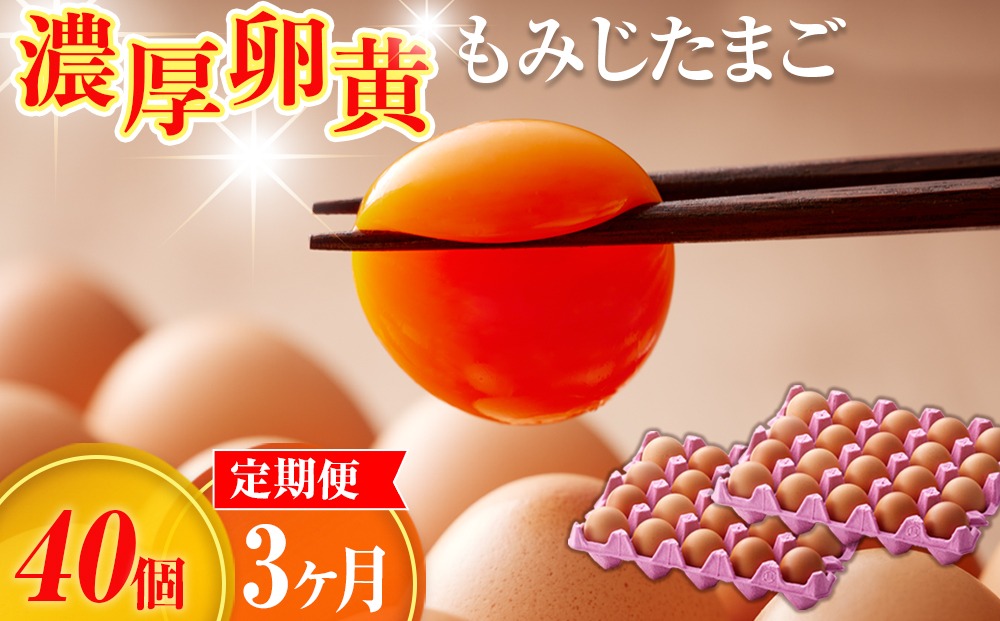 濃厚卵黄もみじたまご【40個入り】【3ヶ月連続】定期便 [No.934]