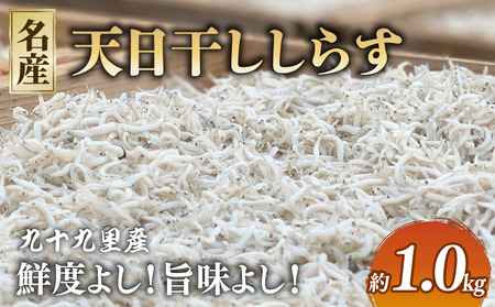 天日干し しらす 約1kg  【 しらす 】