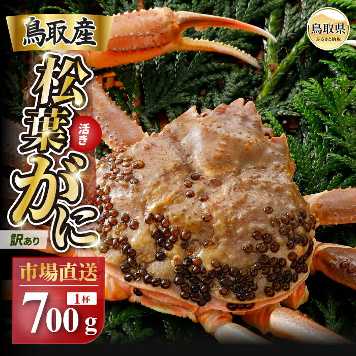 【ふるさと納税】E25-021 【2025年12月発送】特撰 松葉がに（なま）【訳あり】700g超の大きいサイズ 食べ応えあり 特大1杯