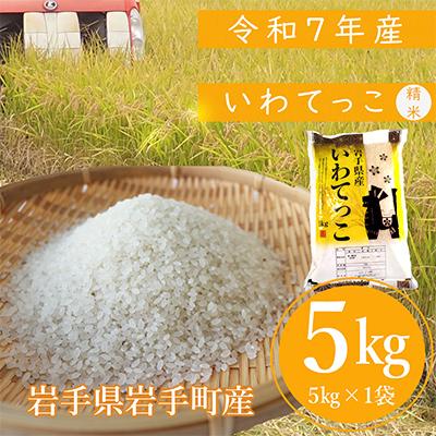 ふるさと納税 岩手町 令和7年産岩手町産のいわてっこ 精米　5キロ