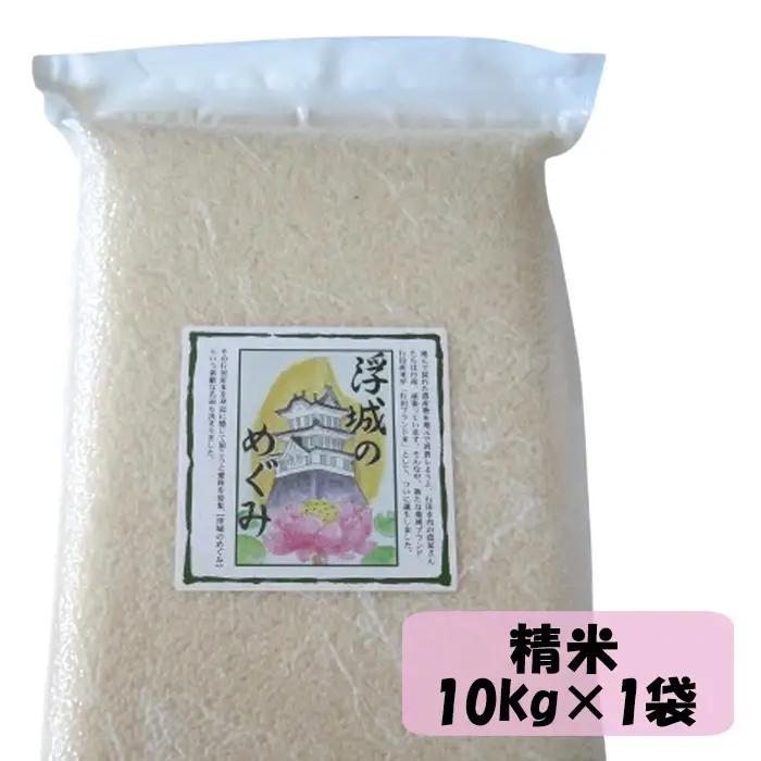 行田のお米 忍城献上米10kg［むかさ商店］ No.049