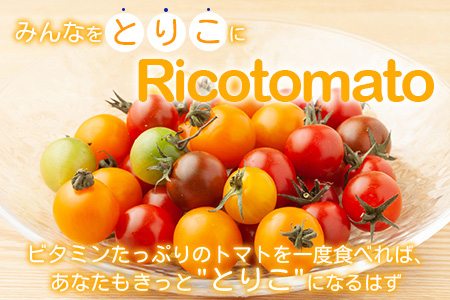 【先行予約】 カラフルミニトマト 『Ricotomato』 【1kg×4回定期便】 【2024年12月から出荷】 F-25