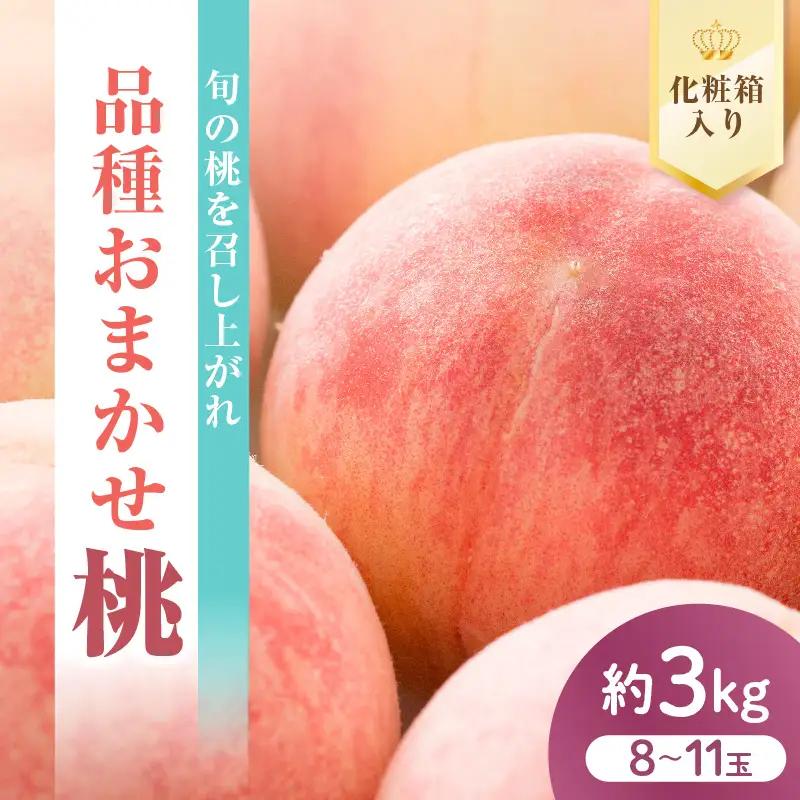 先行予約 数量限定 令和8年産 もも 約3kg 品種 おまかせ 桃