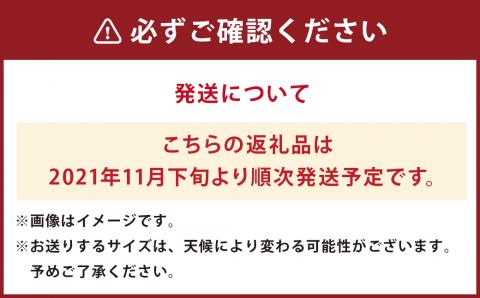 ゆうべにいちご 計約1kg（約250g×4パック）いちご 苺 熊本県菊池市産