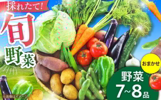 【数量限定】旬の 野菜 セット (約3kg/野菜7-8品程度) / 新鮮 詰合せ やさい セット 旬 おまかせ にんじん ごぼう 直売所 やさい 野菜 3kg 3キロ サラダ 熊本県 特産品 菊陽町 【有限会社さんふれあ】 [BHAK023]