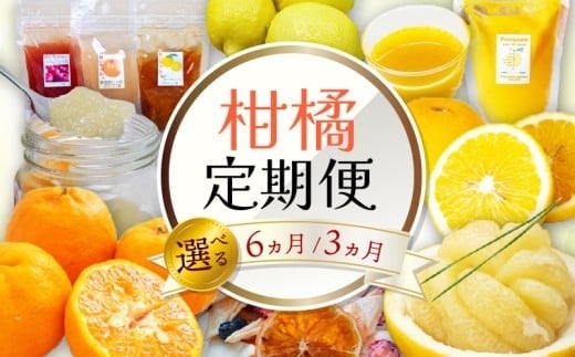 
                  【選べる回数】 3～6回定期便 果物 定期便 ぽんかん 土佐 文旦 オーガニック 無農薬 防腐剤 不使用 柑橘 蜜柑 みかん mikan 柑橘定期便 柑橘類 詰合せ 詰め合わせ 訳あり オレンジ フルーツ お取り寄せ 家庭用 フルーツ定期便 フルーツジュース 果物定期便 果物類 果物の詰合せ 高知県 須崎市 頒布会 3ヶ月 3カ月 3か月 3回 6ヶ月 6カ月 6か月 6回 5万円 50000円
                