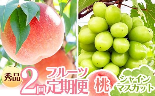 【先行予約】令和8年産 フルーツ 2回 定期便 桃 シャインマスカット 秀品 山形県産 【2026年8月上旬頃から発送開始予定】※配送不可 沖縄・離島　020-B-RF008