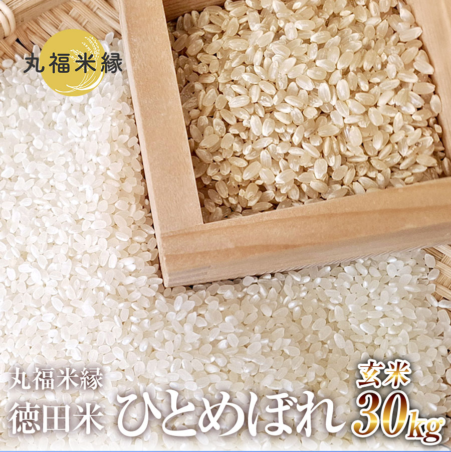 【ふるさと納税】一口食べれば、もうひとめぼれ　徳田米　ひとめぼれ玄米　30kg