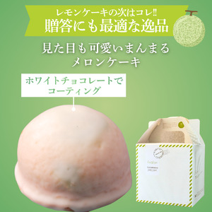 ~温泉育ちのメロンが香る~ メロンケーキ・ダックワーズセット　【 焼き菓子 】