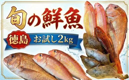 旬の鮮魚セット お試し 2kg おまかせ 鮮魚ボックス 詰め合わせ 刺身 刺し身 海鮮 アジ カツオ ヒラメ 鯛 新鮮 下処理済み 冷蔵 父の日 徳島 馬地鮮魚