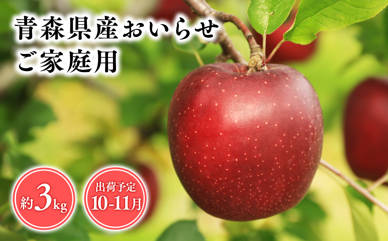 
１０月・１１月発送　【訳あり】家庭用おいらせ3ｋｇ　【そと川りんご園・１０月・１１月・青森県産・平川市・りんご・おいらせ・3ｋｇ・訳あり・家庭用】
