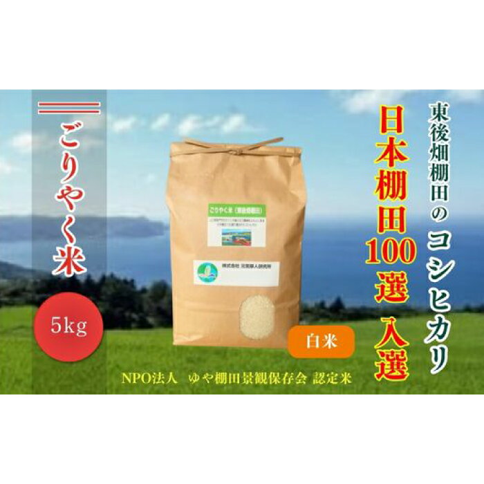 【ふるさと納税】令和7年度産 ごりやく米 東後畑棚田こしひかり 白米 5kg 玄米 無洗米 1ぶづき米 棚田米 長門市 コシヒカリ こしひかり