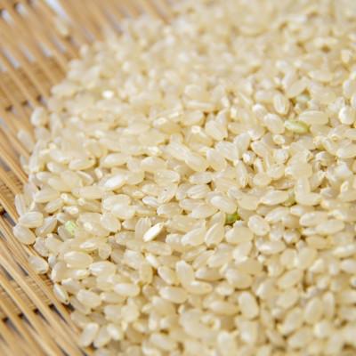 ふるさと納税 遠野市 【令和8年産 新米】 ひとめぼれ 玄米 10kg 金取ノ米 岩手県 遠野市 多田農産 |  | 01
