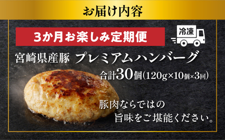 ≪3か月お楽しみ定期便≫宮崎県産豚プレミアムハンバーグ(合計30個) 肉 豚肉 加工品 国産_T001-017 【人気 宮崎県産豚プレミアムハンバーグ ギフト 宮崎県産豚プレミアムハンバーグ おかず 