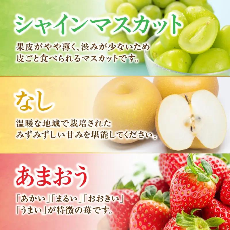 九州・福岡フルーツ王国八女 旬のフルーツ定期便【全3回】＜配送不可：北海道・沖縄・離島＞ フルーツ 定期便 あまおう シャインマスカット 梨 季節のフルーツ 果物 おすすめ セット 産地直送 福岡県 