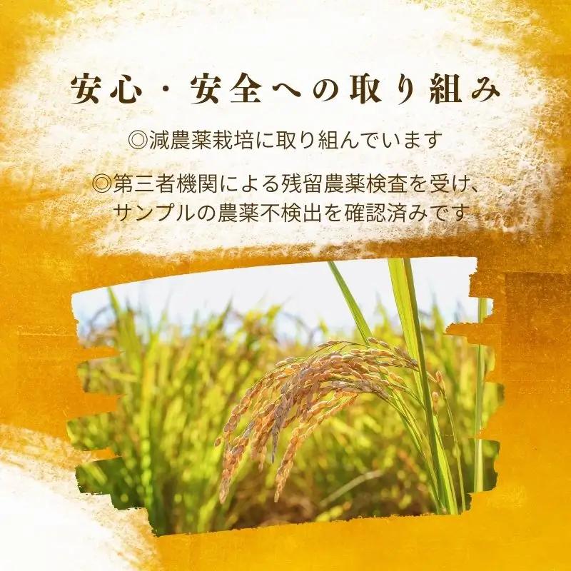 【令和7年産】福岡県飯塚市産 夢つくし 5kg(精米)【4ヵ月定期便】【G6-002】