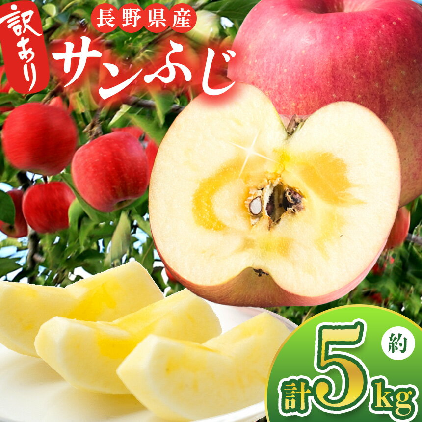 【ふるさと納税】 訳あり サンふじ 5kg 信州産 【2025年先行予約】｜ ベジサコ リンゴ りんご 林檎 果物 フルーツ 果実 果汁 サンふじ さんふじ わけあり 訳アリ 長野県 松川村 信州