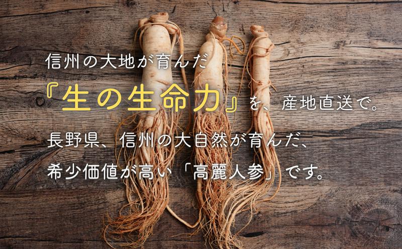 生高麗人参 6年根 細 3本 高麗人参 生 六年生 健康食品 健康 疲労回復 血行 改善 食品 美容 特産 薬膳 高麗人参酒 人参 調理 長野 信州