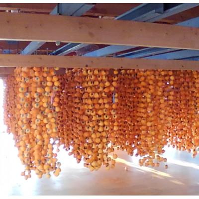 ふるさと納税 高森町 保存ができる市田柿2パック(高森町) |  | 02