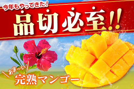 先行予約 ＜訳あり＞ 完熟マンゴー 宮崎県産 2Lサイズ 2玉 フルーツ 果物【B615-26】