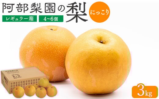 
            阿部梨園の梨（3kg　レギュラー箱）にっこり　※離島への配送不可　※2025年10月上旬～10月下旬頃に順次発送予定
          