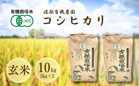 JAS有機米 コシヒカリ 玄米 10kg | 令和7年産 渡部有機農園