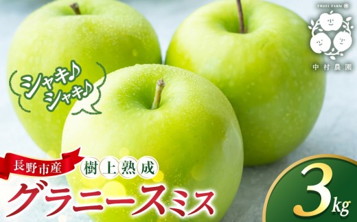 
                  フルーツファーム中村農園　【10月中旬発送 先行予約】樹上熟成　グラニースミス 3kg |  りんご グラニースミス グリーンアップル 林檎 アップルパイ ジャム 加工用 生食用 果物 フルーツ 青りんご 料理用 製菓用 送料無料 長野県 長野市 信州 信濃 ふるさと納税
                