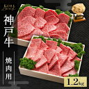 【ふるさと納税】神戸牛 焼肉用 セット 計1.2kg AKYS5[ 肉 牛肉 神戸ビーフ かたロース ロース かた もも バーベキュー キャンプ アウトドア ]　赤穂市　お届け：1～3ヶ月後お届け