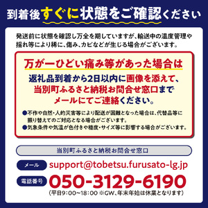 とうもろこし 10本セット 北海道産 トウモロコシ