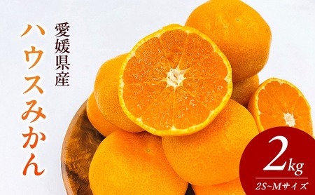 〈夏季限定！申込8/17まで〉温室育ちの温州みかん2.0kg(約15～25個)【甘い 夏のミカン オレンジ ハウスみかん 早生 冷やして 柑橘 フルーツ 果物 愛媛 砥部 JA  8月 9月 】