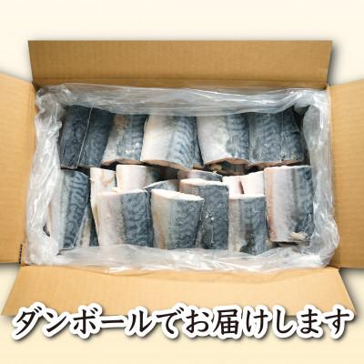 ふるさと納税 銚子市 【訳あり】霜降り塩さば切身 約3.5kg |  | 03