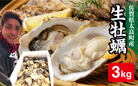 竹崎産 ブランド生牡蠣「ゆり姫」3kg（ナイフ付き） / 佐賀県 / 宗徳丸 [41ATAF003]