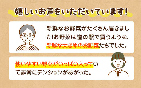 ＼レビューキャンペーン中／【全6回定期便】産地直送！鮮度抜群！旬を味わう新鮮野菜と果物の詰め合わせセレクションボックス（8種以上）　愛媛県大洲市/たいき産直市愛たい菜[AGAP019]野菜果物フルーツ