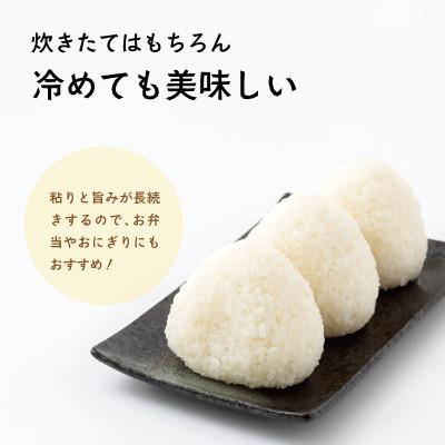 ふるさと納税 宮崎市 【令和8年産・新米】井野農園のほしじるし |  | 03