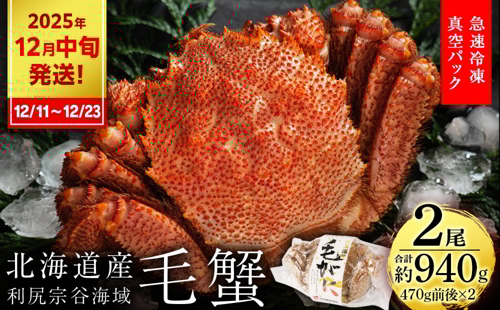 
            【2025年12月11日～12月23日発送】毛ガニ 小サイズ（470g前後） 2尾セット＜利尻漁業協同組合＞
          