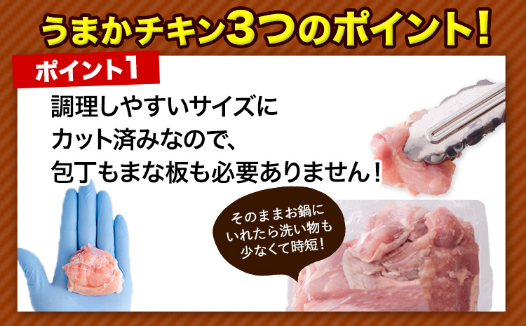 【12ヶ月定期便】うまかチキン 全パックもも肉セット 1回のお届け 合計3.1kg 合計 約37.2kgお届け 《お申込み月の翌月より出荷開始》カット済 もも 若鶏もも肉 冷凍 真空 小分けst-p