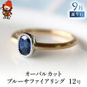 【ふるさと納税】誕生石 9月 オーバルカット ブルーサファイア 指輪 リング 12号 K18 PT900 プラチナ アクセサリー 婚約指輪 プロポーズ 結婚指輪 誕生日 婚約 結婚 母の日 プレゼント 祝 記念日 女性 贈り物 大分県産 九州産 中津市 国産 送料無料