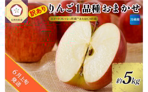 【2025年6月上旬発送】【訳あり】りんご 約5kg 青森産 【おまかせ1品種】【スマートフレッシュ貯蔵またはCA貯蔵・クール便】
