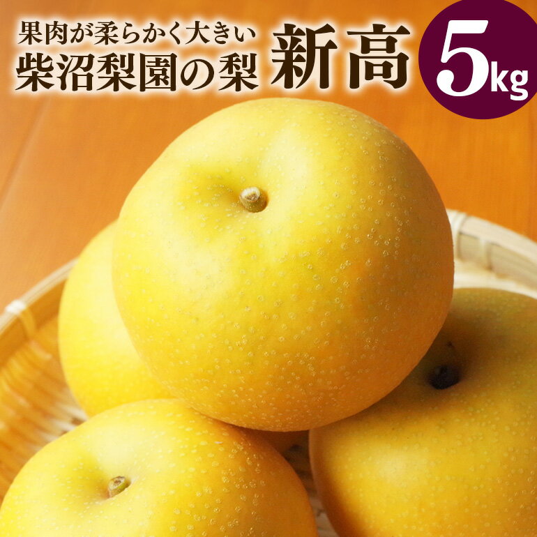 【ふるさと納税】 柴沼梨園の梨 （ 新高 ） 梨 5kg 大玉 6～14個入り ナシ なし 国産 茨城 新高梨 秋 旬 フルーツ 果物 先行予約 【9月下旬～10月上旬発送】 秋の味覚 旬の果物 くだもの 大きい サイズ 品種 新高 産地 茨城県産 家庭用 産地直送 茨城県 送料無料