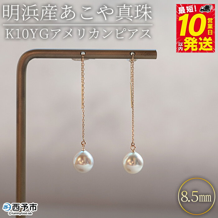 【ふるさと納税】＜明浜産あこや真珠8.5mm K10YGアメリカンピアス＞『最短10日営業日以内に発送予定』アコヤ真珠 パール ドロップ型 ジュエリー アクセサリー プレゼント ギフト 贈答 記念日 品質保証書付き ナチュラルカラー PRAY akoyapearl 愛媛県 西予市 【常温】