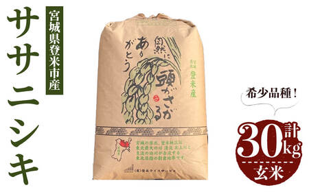 ≪令和7年産≫ ササニシキ 玄米 30kg 登米市産 お米 おこめ 米 コメ ささにしき ご飯 ごはん おにぎり お弁当 【登米ライスサービス株式会社】tm150