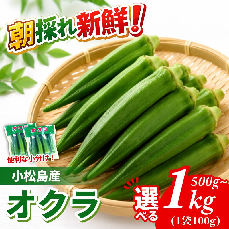 【ふるさと納税】 【6月下旬から発送】オクラ 500g/1kg 新鮮 朝採れ 選べる 容量 小分け おくら 朝どれ 野菜 夏 夏野菜 旬 サラダ 冷蔵 農地直送 国産 小松島市