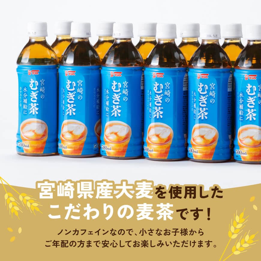 サンA宮崎のむぎ茶　500ml PET×18本×2ケース 【 お茶 麦茶 宮崎県産 ペットボトル 】