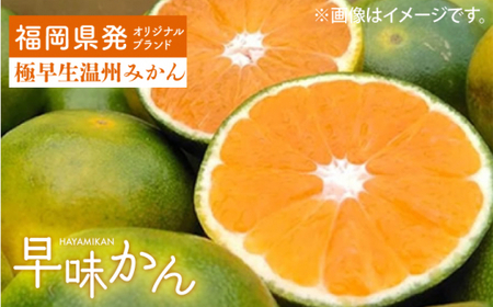 【9月中旬より発送】先行予約 福岡産ブランドみかん 早味かん 約2kg＜南国フルーツ株式会社＞那珂川市 みかん オレンジ ブランド フルーツ 果物 九州産 国産 [GCD023]12000 12000