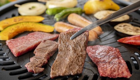 備中牛 モモ 焼肉用 500g 岡山県産 黒毛 和牛 肉 お肉 牛肉 牛