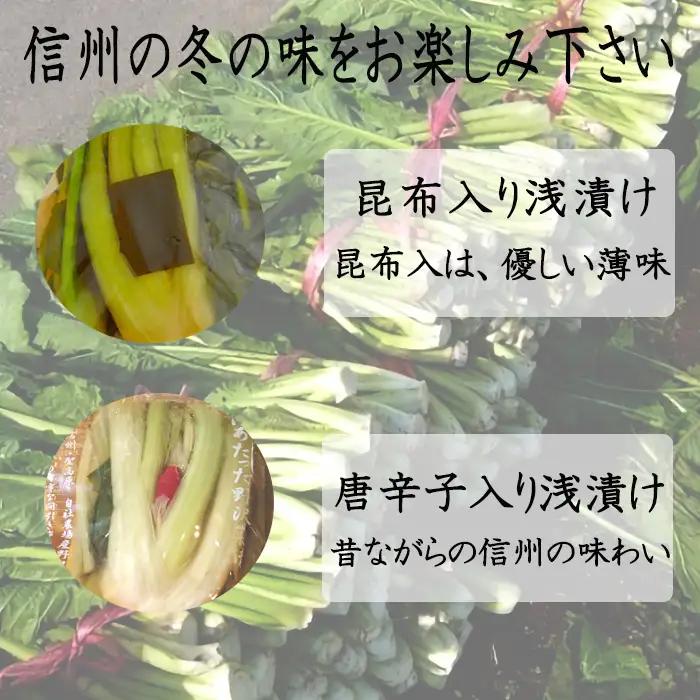 信州麻績村 浅漬け 野沢菜 詰め合わせセット 期間限定