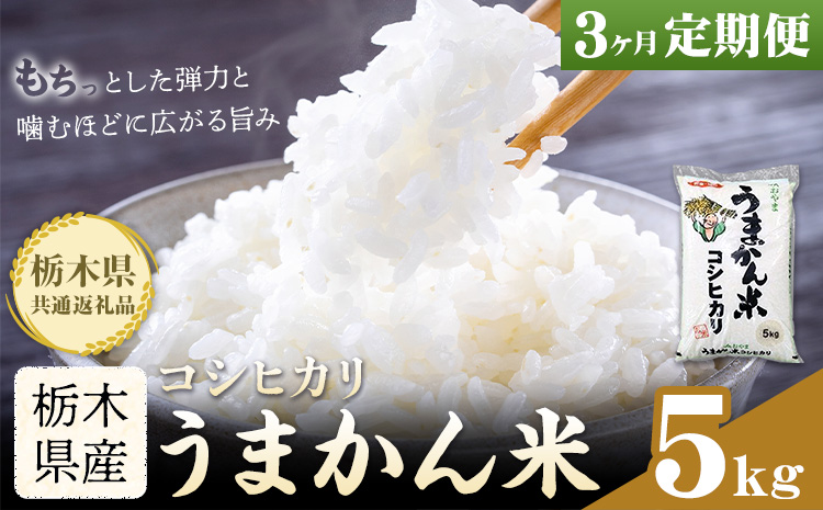 令和7年産 米 お米 コシヒカリ うまかん米 3ヶ月 定期便 5kg JAおやま 《30日以内に出荷予定(土日祝除く)》 栃木県 野木町産 コメ 米 ブランド米 こしひかり【栃木県共通返礼品】