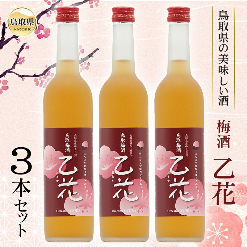【ふるさと納税】B25-029 鳥取県の美味しい酒　梅酒　乙花（おとか）　3本セット